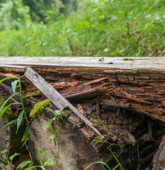 Rastplatz, Legende, Holzmichl, Geschichte