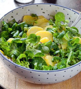 Kartoffel Vogerl Salat, eine gelungene Beilage zu vielen Gerichten, ganz einfach!