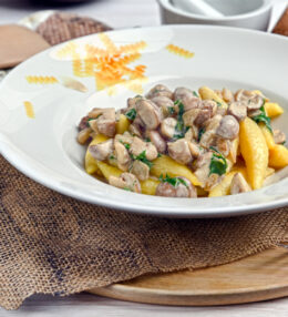 Schupfnudeln Champignon Soße, so einfach kann es gehen, fertig in 25 Minuten, mega gut!