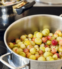 Wir kochen Stachelbeer Marmelade, so geht es einfach von der Hand und schmeckt